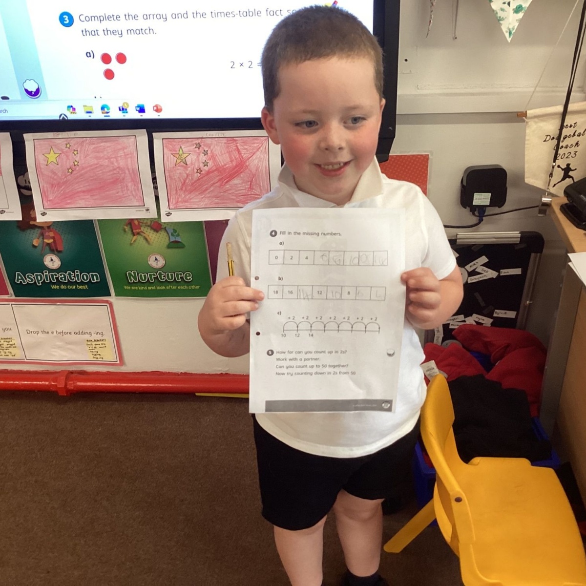 Manor Primary Academy - Maths in Swans